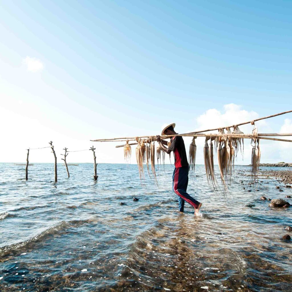 PLAY_Mourouk_Octopus